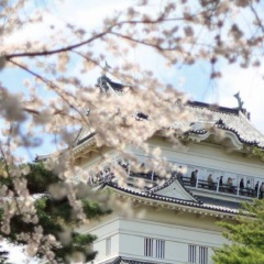 小田原