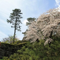 小田原