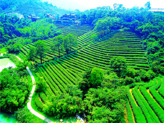 东部华侨城茶溪谷