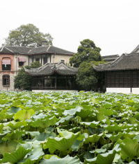 景点图片
