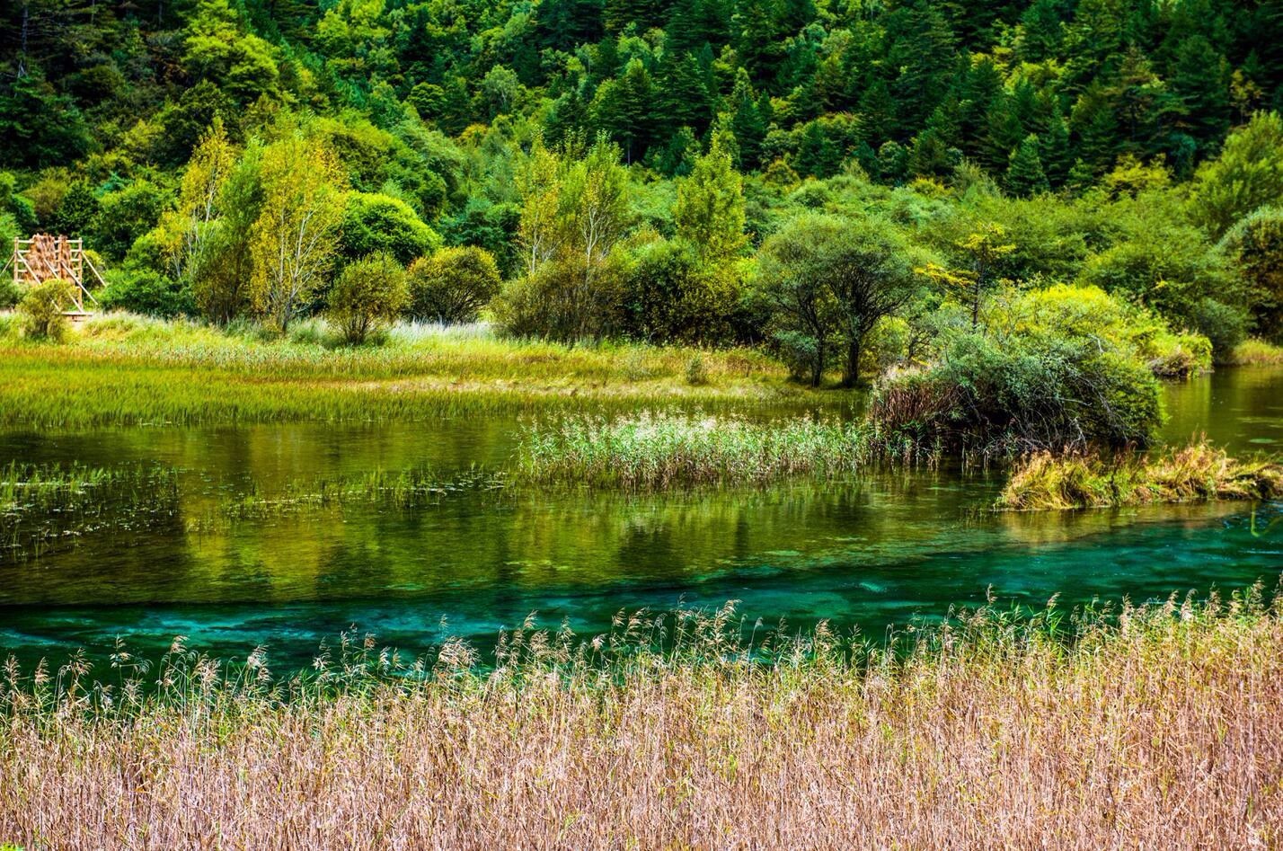 再往下走就到了芦苇海,海中芦苇丛生,清溪碧流,漾绿摇翠,蜿蜒空行.