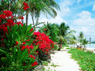 关岛非自治领土