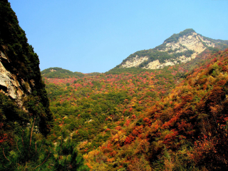 少华山森林公园