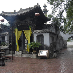 大槐树寻根