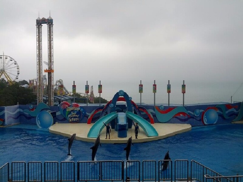 经验堆积起来的回忆--香港澳门自由行5天玩法