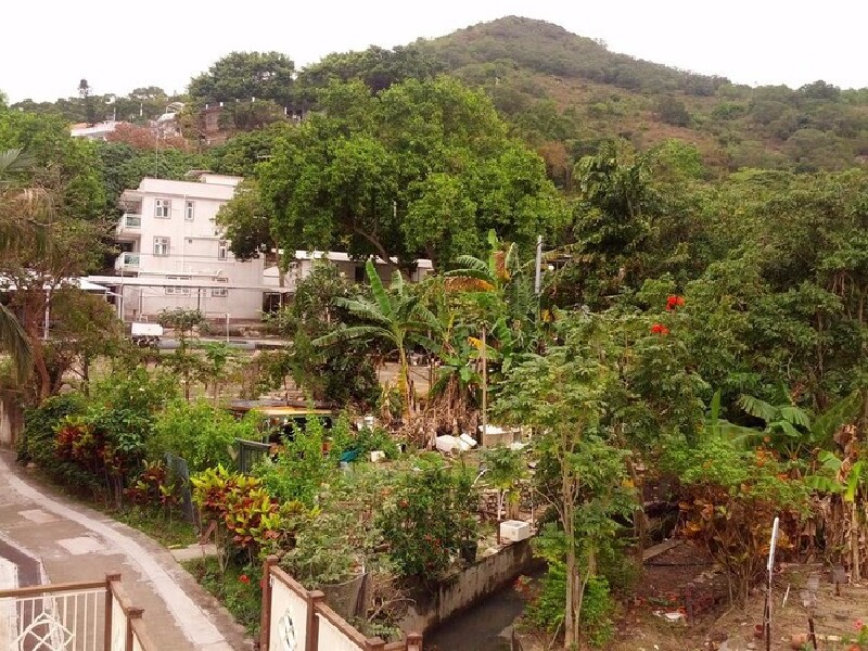 经验堆积起来的回忆--香港澳门自由行5天玩法