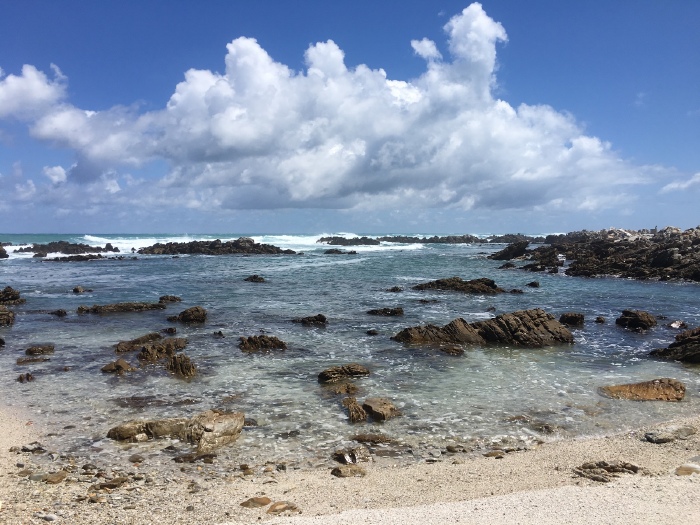 〔壮游非洲〕之南非肯尼亚之旅【多图】_肯尼亚山游记_途牛