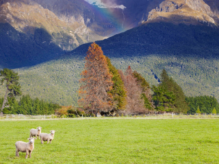 高地陶恩国家公园