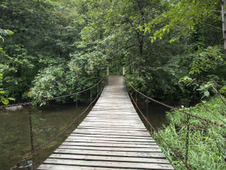 卡皮拉诺吊桥公园