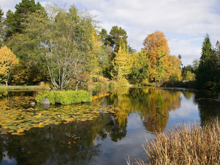 温哥华范度森植物园