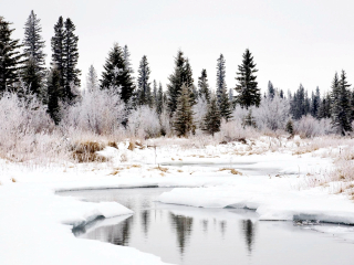 卡尔加里遗迹公园