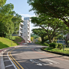 麦克马斯特大学
