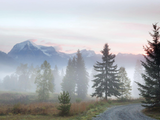 霞飞路湖省立公园