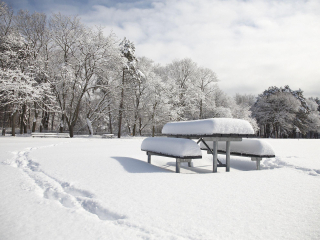 霞飞路湖省立公园