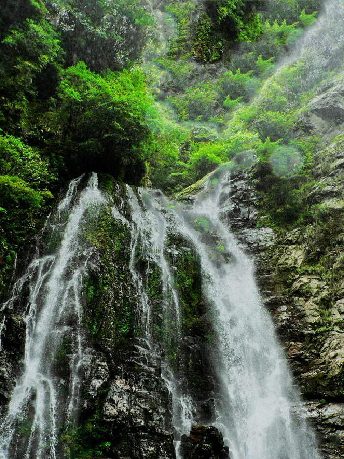 锁龙潭又称金锁潭,金锁潭的瀑布掩映在深邃的幽谷和杜鹊林中,水声谙哑