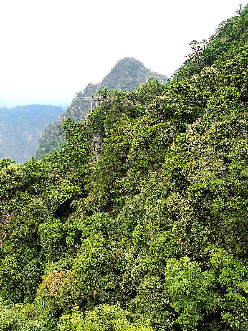 跃上井冈山_江西井冈山游记_途牛