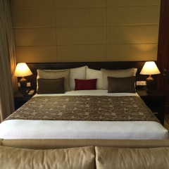 阿玛雅湖酒店