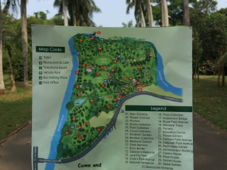 佩拉德尼亚皇家植物园