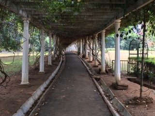 佩拉德尼亚皇家植物园