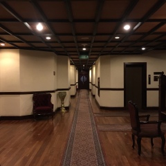 奴瓦拉伊利雅大酒店