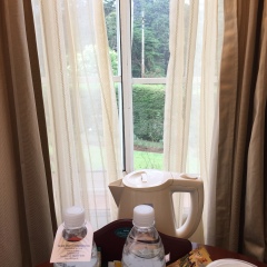 奴瓦拉伊利雅大酒店