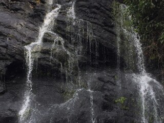 霍顿平原国家公园