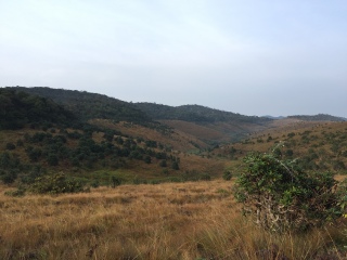 霍顿平原国家公园