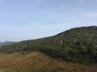 霍顿平原国家公园