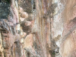 霍顿平原国家公园