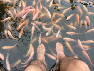 红树林渡假酒店