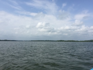 红树林渡假酒店