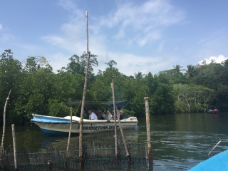 红树林渡假酒店