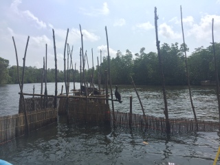 红树林渡假酒店