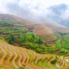 景点模块 