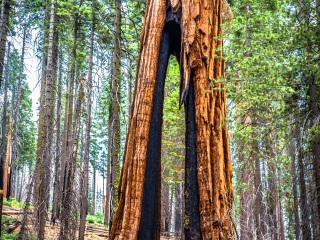 优胜美地国家公园