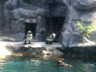 水上星球水族馆