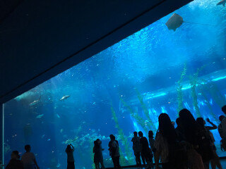 水上星球水族馆