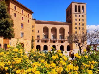 巴塞罗那大教堂