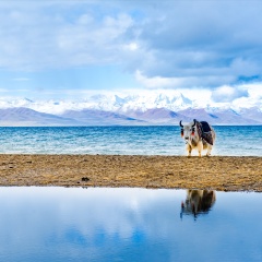 景点模块 