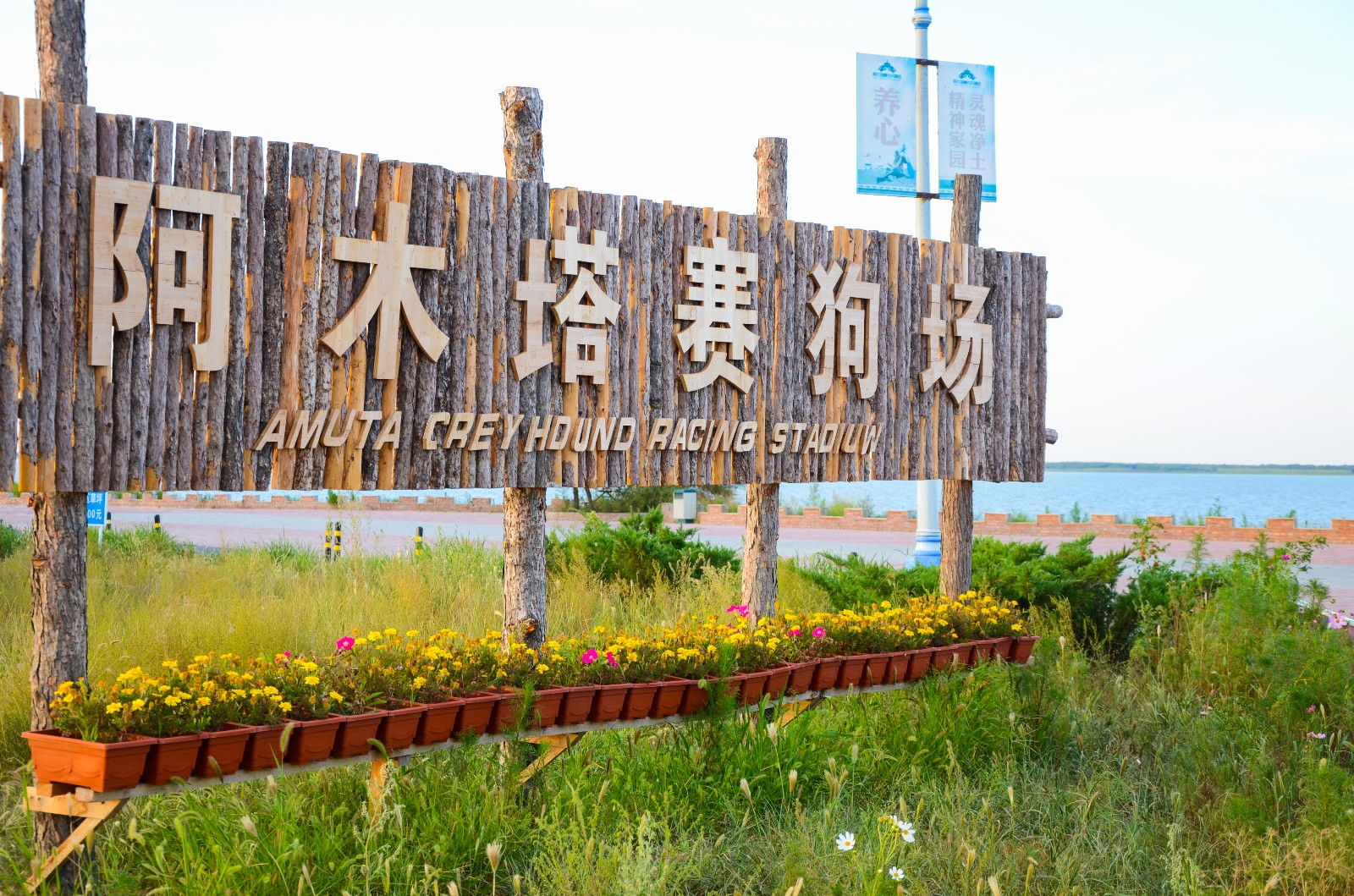 酒店 : 阿木塔旅游度假酒店这里度假村的蒙古包的酒店,酒店还是比较新