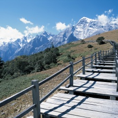 苍山
