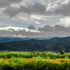 苍山