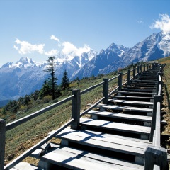 苍山