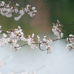 西湖