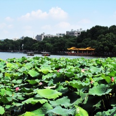 西湖