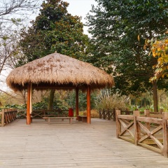 西湖