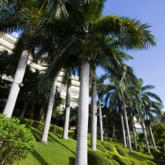 大东海