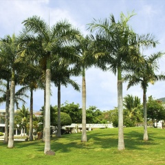 景点模块 