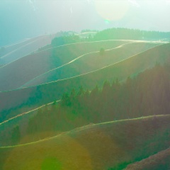 南山