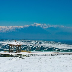南山